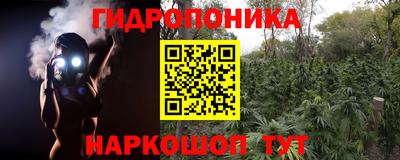 бошки Надым